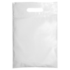 BGL 7.5" W x 9" H Digital Full Color Plastic Bags
