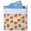 WH8200L_stuffed Citrus Predesigned Poly Mailers