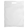 BGXL (1) 12" W x 16" H Digital Full Color Plastic Bags